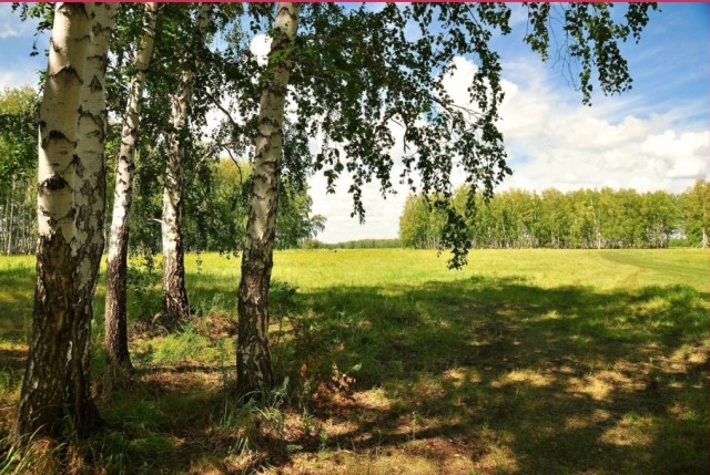 Каспер\Сиськи
