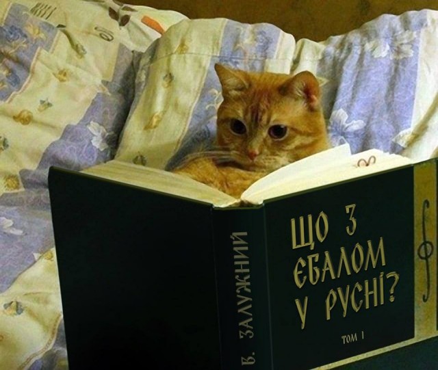 Укрытия вместительностью 15 млн. человек для населения оборудуют в Подмосковье до 25 декабря