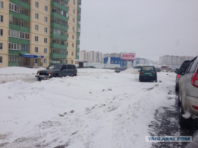Весна пришла,весне дорогу!