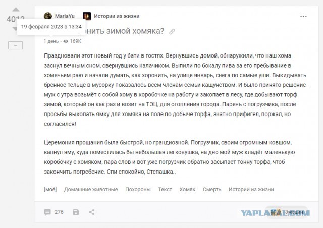 Как похоронить зимой хомяка?⁠⁠