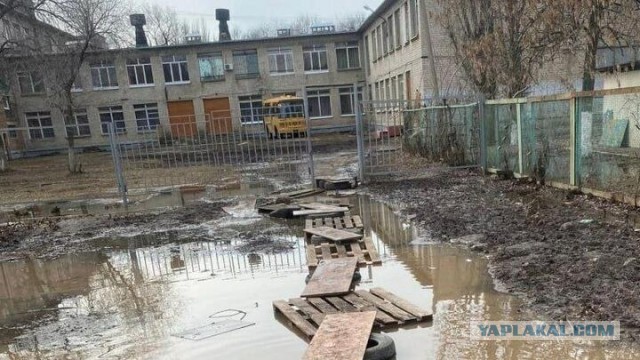 Деревянные мостки веремен неолита возрастом почти 6 тысяч лет