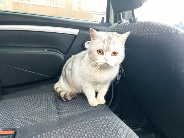 Ещё одну колбаску и всё