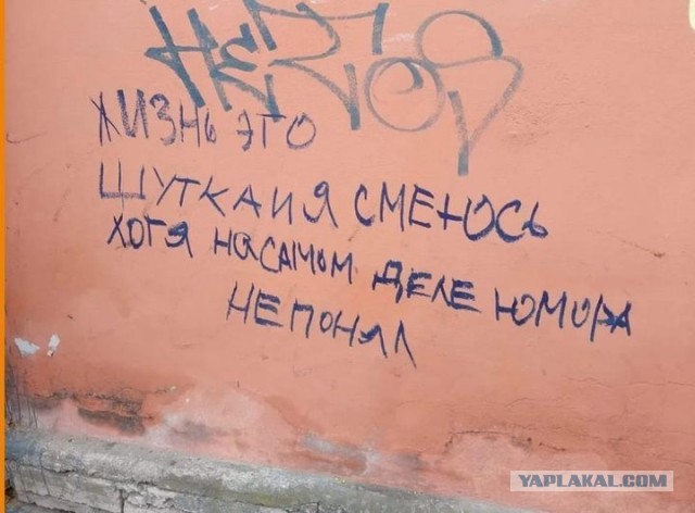 Баяны и аккордеоны. Смешные и не очень