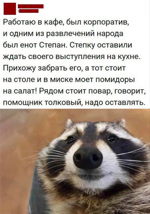 Всего понемногу. От 24.08.2023
