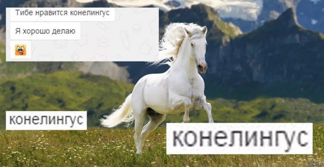 Так себе картинки 27.09.2023