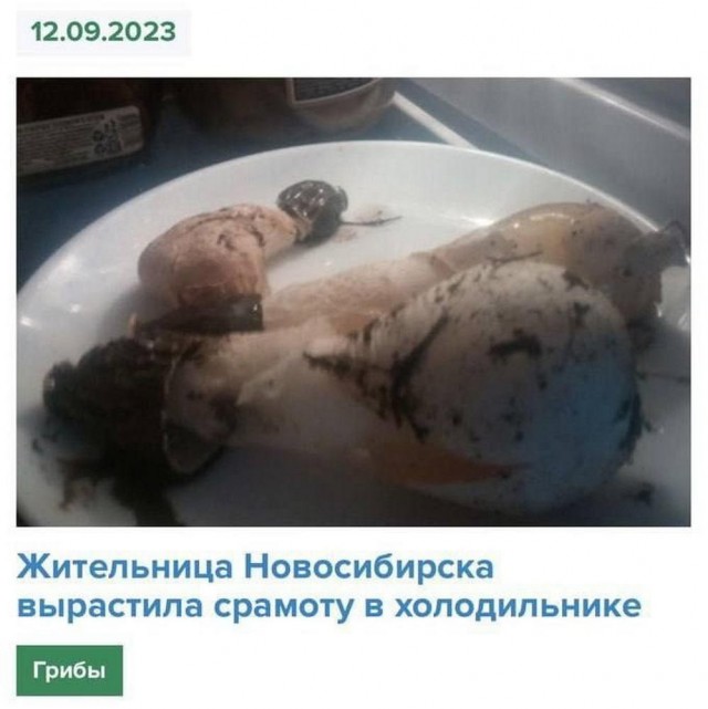 Нуштош 29.09.2023