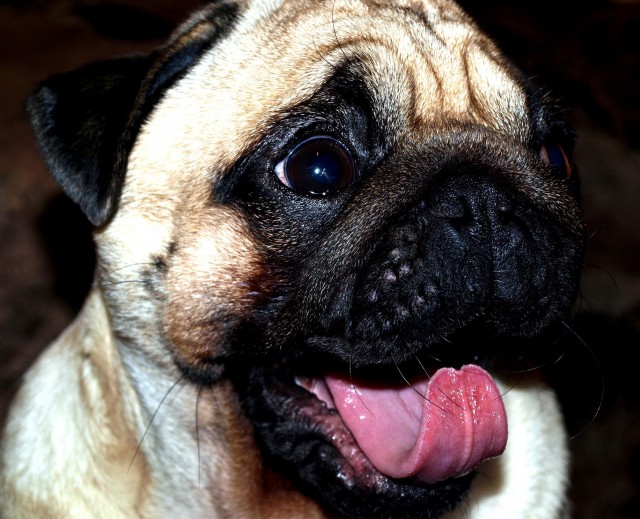 Мои фото без обработки