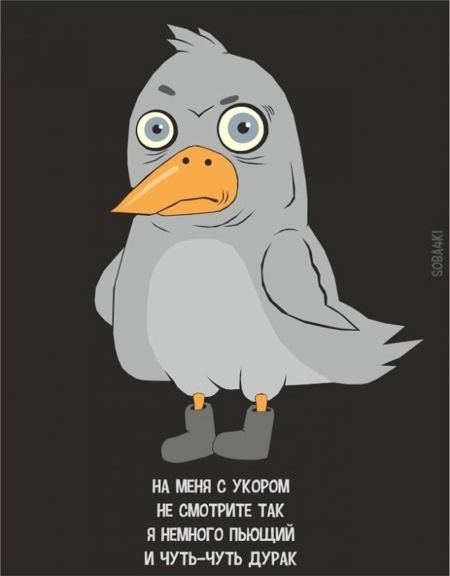 Не много весёлых картинок