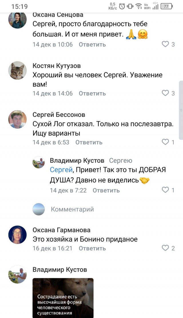 Собакочетверг или как я стал приемным папой