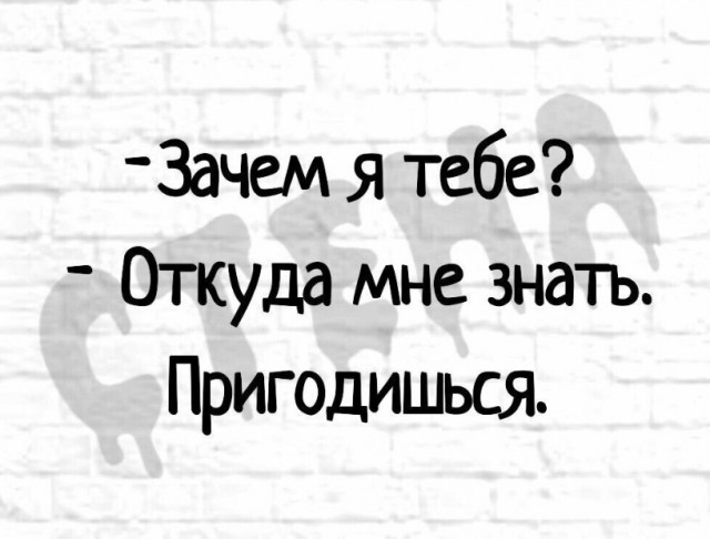 Среда пришла - неделя прошла, дорогие деграданты