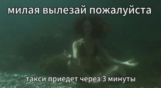 Всего понемногу. От 04.03.24