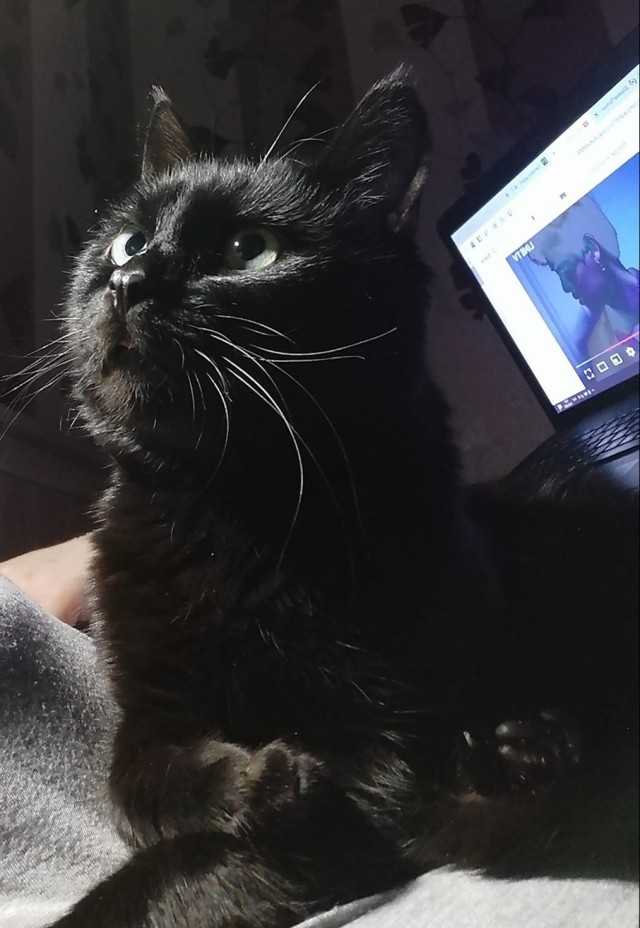 Сборник рассказов ЯПовских авторов. Обсуждение проблемы.