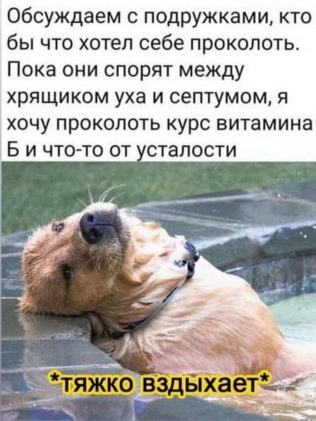 Картинки