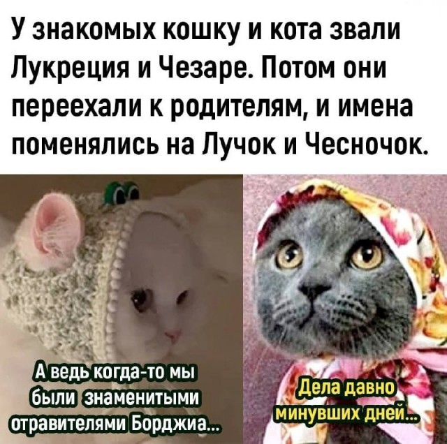 Завалялось тут случайно немного забавных картинок