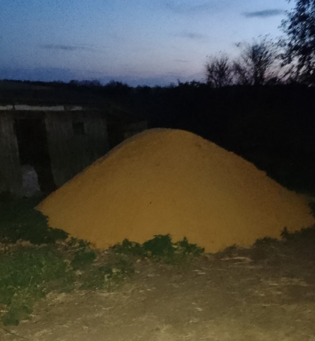 От сумы и тюрьмы не зарекайся...
