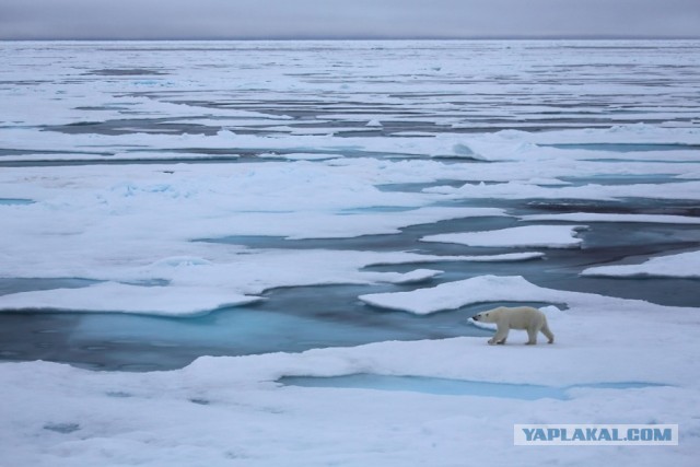 Иногда VK доставляет...