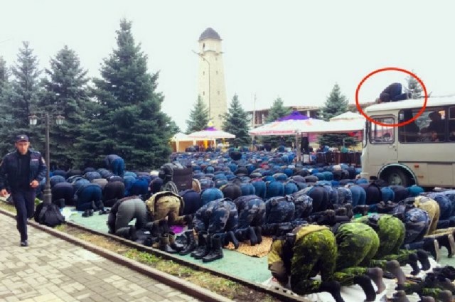 Смехотерапия. Весёлые картинки