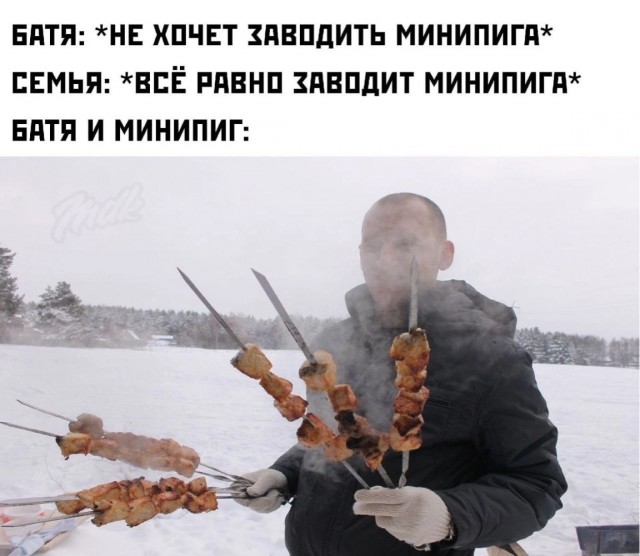 Спасли кабанчика