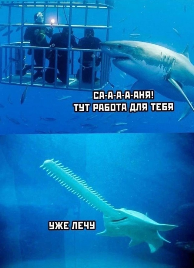 Так себе картинки 04.02.25