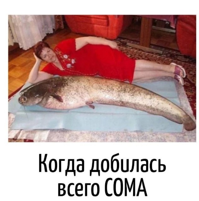 Завалялось тут случайно немного забавных картинок