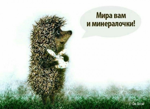 Прикольные и просто красивые картинки 11.04.2025