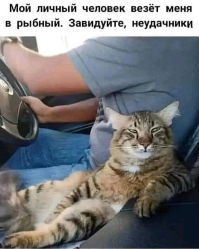 Завалялось тут случайно немного забавных картинок