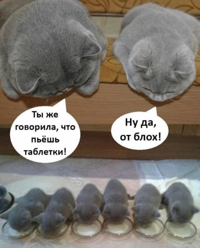 Маленькая пятница 28.05