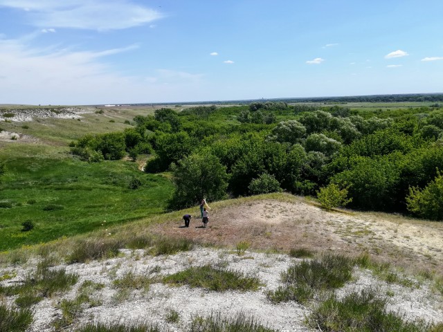 Донская степь