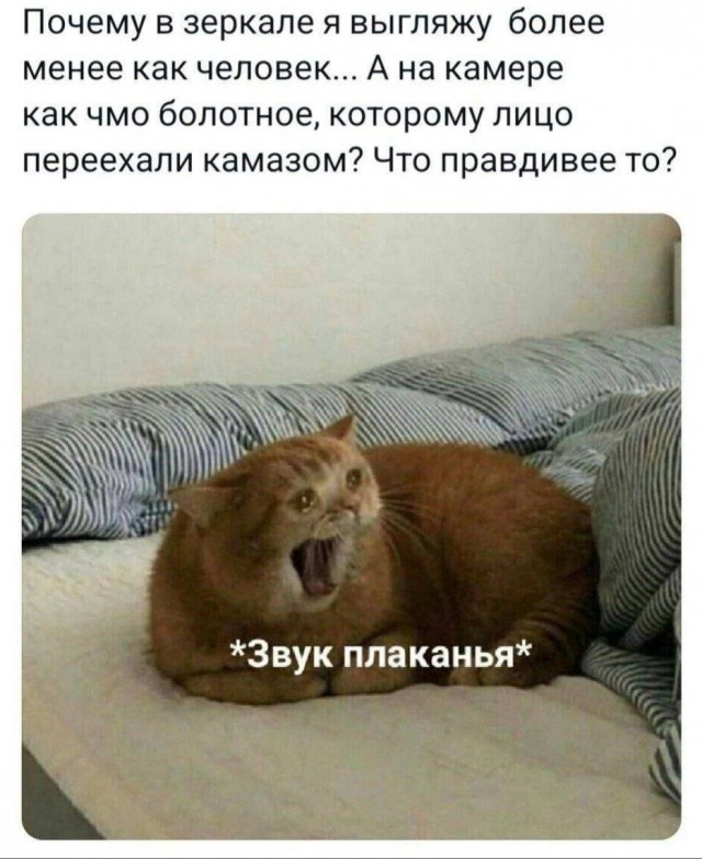Ещё одна рабочая неделя прошла