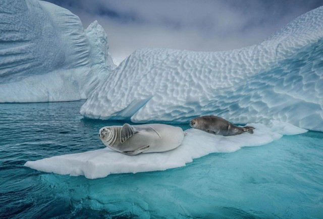 15 фотографий животных, которые могут развеселить практически кого угодно