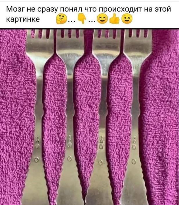 У меня нет мозга. Че за х@ня тут происходит?