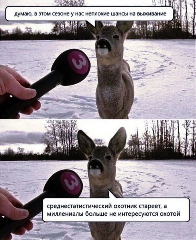 Немного картинок есть у меня на пятницу.