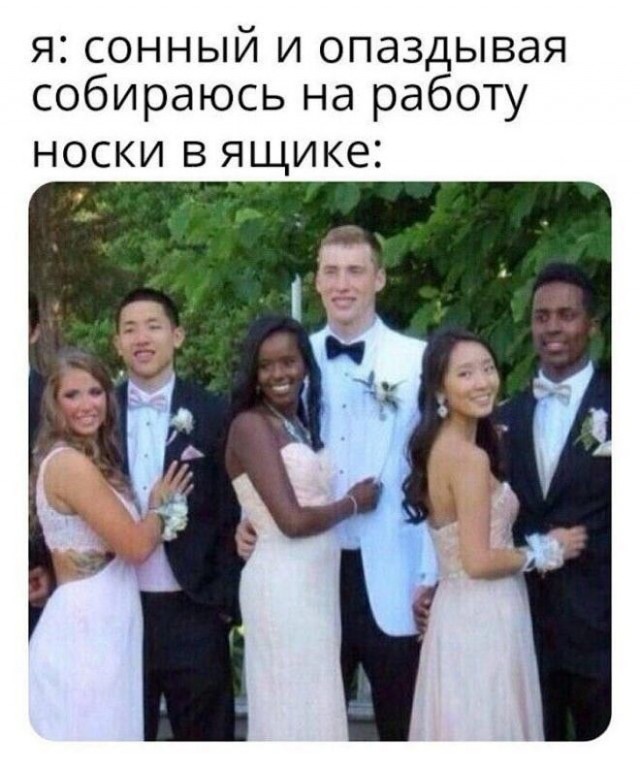 Веселые картинки в пятницу (01.08)