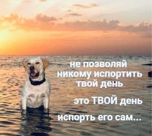 Веселое настроение в картинках (05.08.2025)