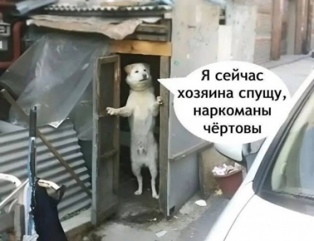 Великое Обнуление.
