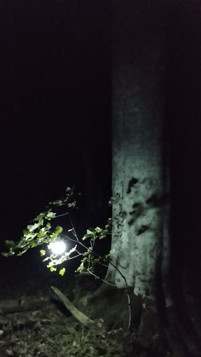 Клуб говорунов (литературный)