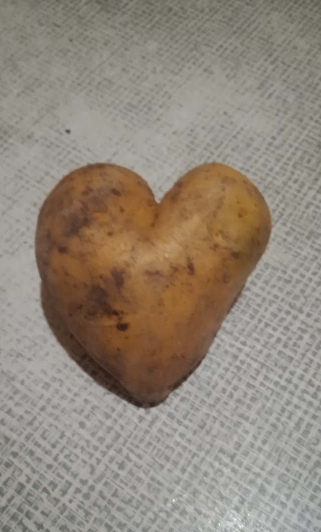 Привет из Узбекистана Беларуси