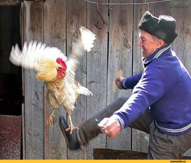 Они среди нас