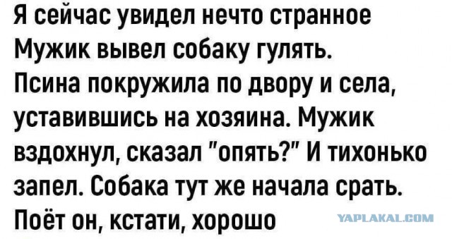 Так себе картинки 28.10.25
