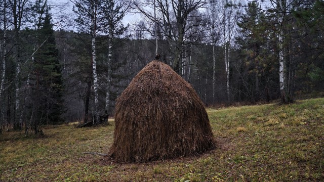 Айгир