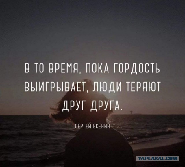 Воскресные картинки