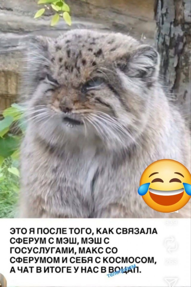 Ответ на тему: "Заставляют установить max"