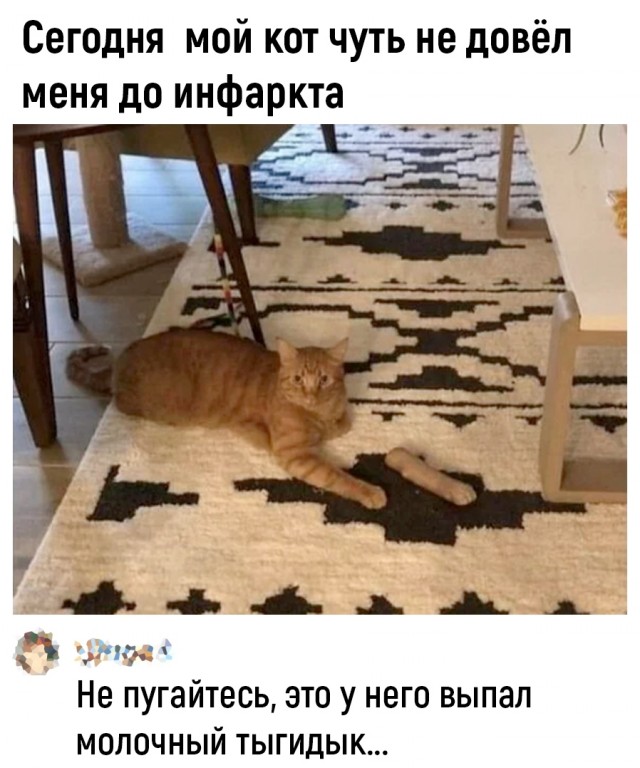 Так себе картинки 26.11.25