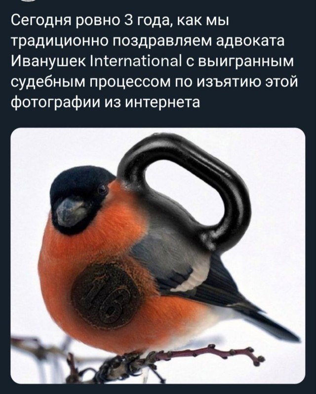 Так себе картинки 04.12.25
