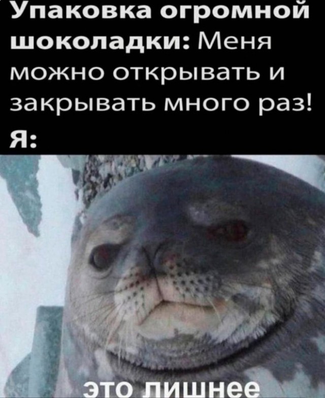 Картиночки, баянчики 12 декабря