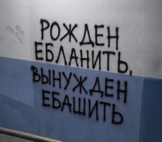 Картиночки, баянчики 16 декабря