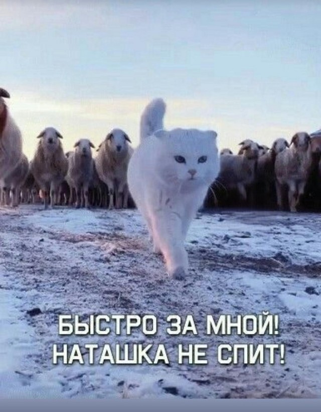 Так себе картинки 16.12.25