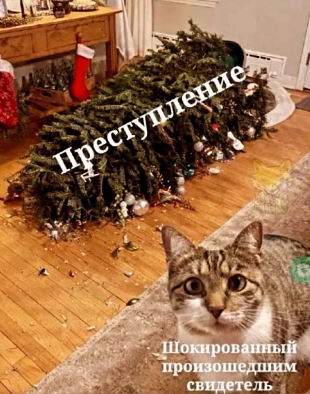 Четверговые картинки