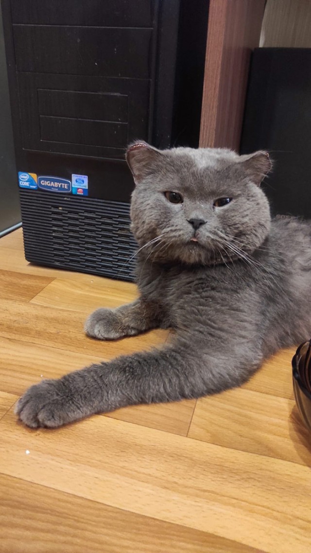 Безымянная извечная битва