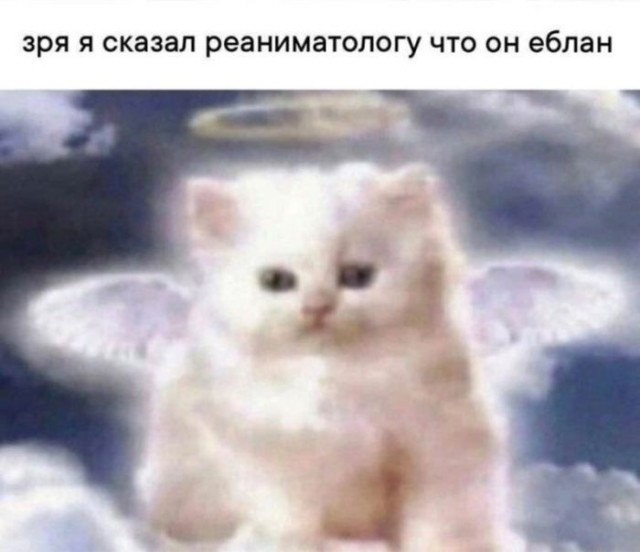 Субботние картинки